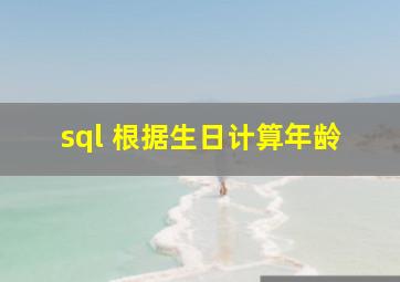 sql 根据生日计算年龄